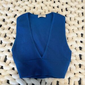 Babaton Sculpt Knit V Neck Top